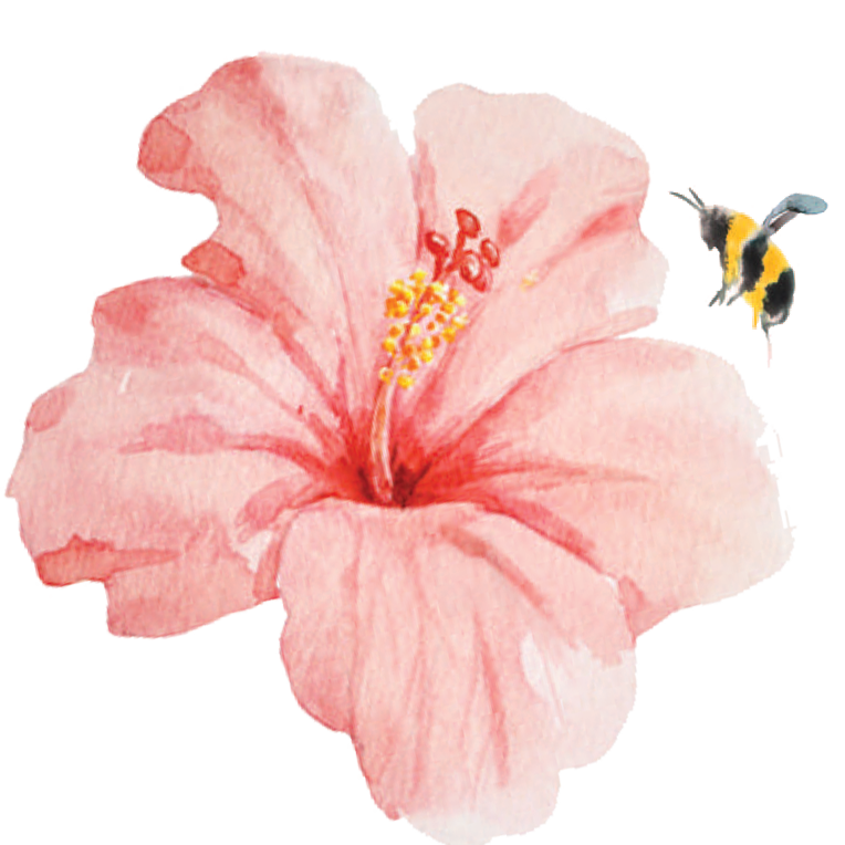 Painted hibiscus with bee